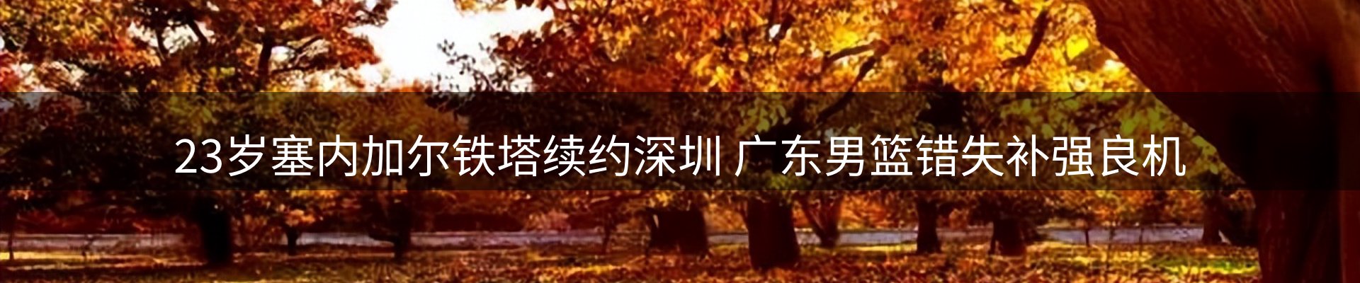 内页banner